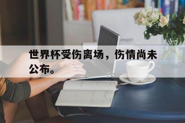 爱游戏网页版-世界杯受伤离场，伤情尚未公布。后缀
